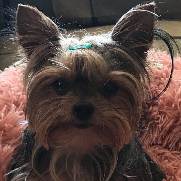 Meet your Posher, Marise r - Picture 1 of 3